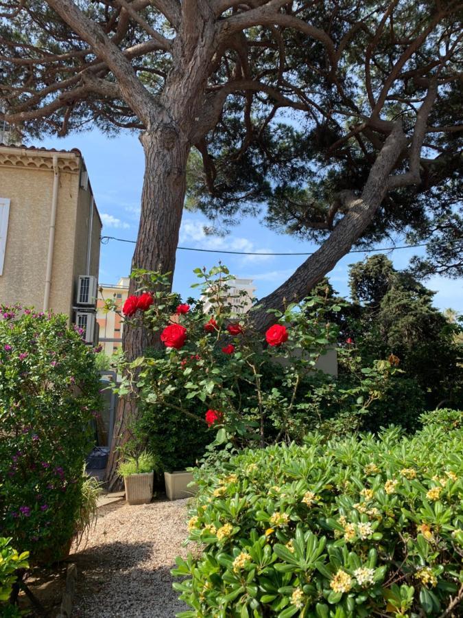 Beau Rivage Hotel Le Lavandou